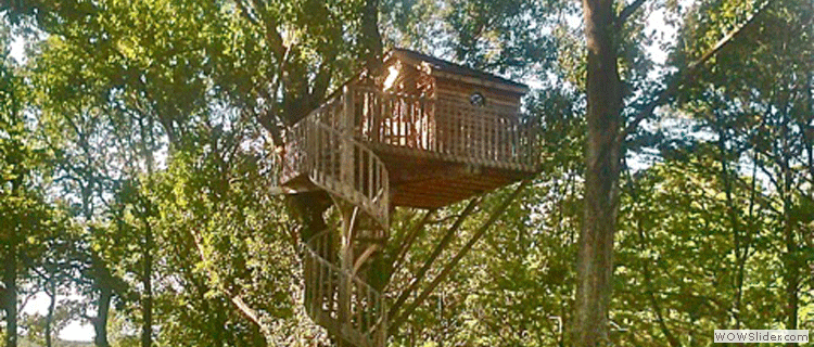 splash-treehouse